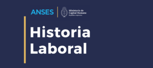 Anses Historial Laboral Alvaro Iriarte CFEcursos